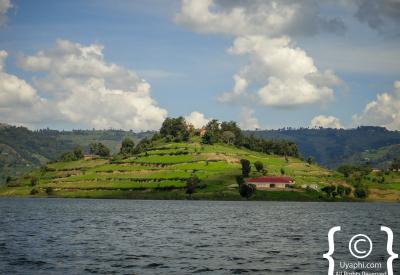 Bwindi Impenetrable Forest Uganda morning mist sunrise scenery