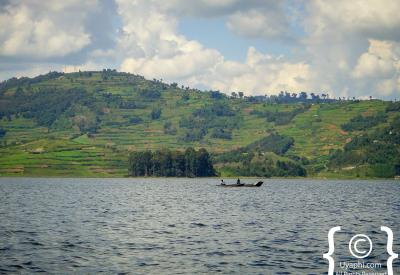 Ugandan rolling green hills tea plantations scenery photography