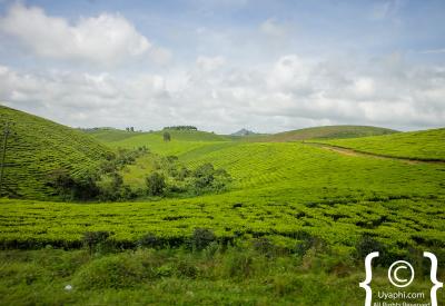 Lake Bunyonyi Uganda terraced hills boat scenery photography