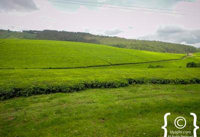 Lake Albert Uganda Rift Valley scenery photography