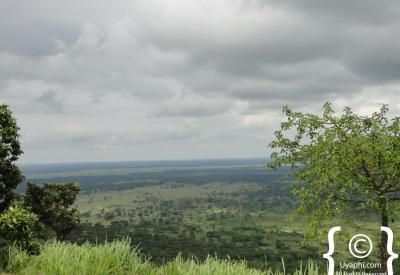 Uganda equatorial rainforest canopy scenery photography