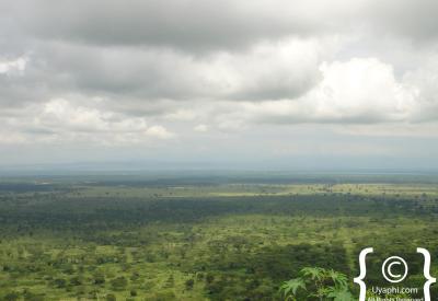 Uganda equatorial rainforest canopy scenery photography