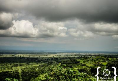Semuliki National Park Uganda tropical forest scenery photography