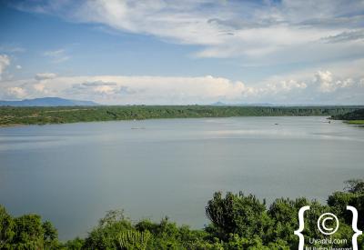 Kibale Forest Uganda chimpanzee habitat scenery photography