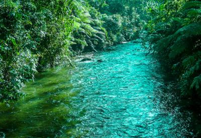 Rwenzori Mountains snow-capped peaks Uganda scenery photography