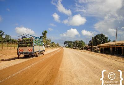 Ugandan rolling green hills tea plantations scenery photography