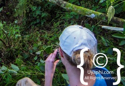 Images Of Gorilla Trekking