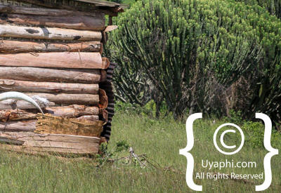 Queen Elizabeth National Park Photos