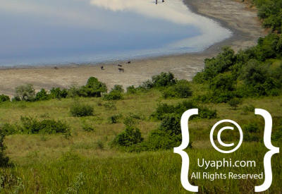 Queen Elizabeth National Park Photos