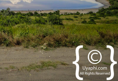 Queen Elizabeth National Park Photos