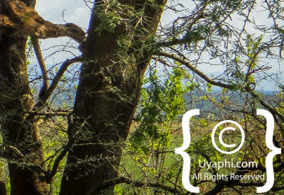 Queen Elizabeth National Park Photos