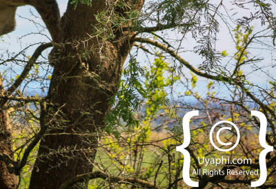 Queen Elizabeth National Park Photos