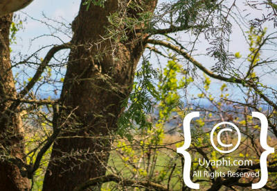 Queen Elizabeth National Park Photos