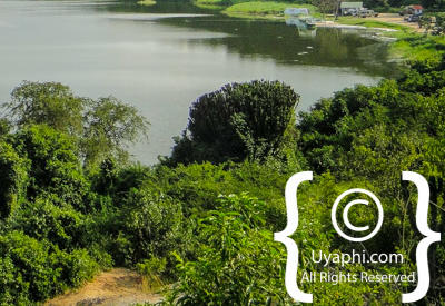 Queen Elizabeth National Park Photos