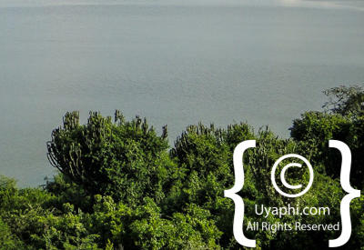 Images Of The Queen Elizabeth National Park