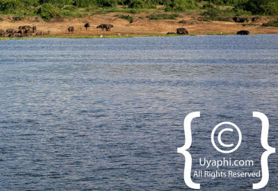 Images Of The Queen Elizabeth National Park