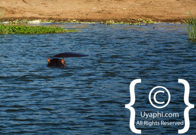 Images Of The Queen Elizabeth National Park
