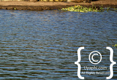 Images Of The Queen Elizabeth National Park