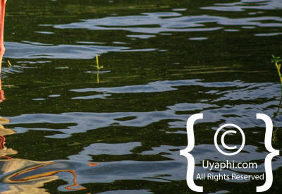 Images Of The Queen Elizabeth National Park