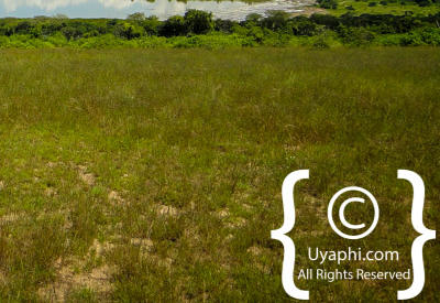 Queen Elizabeth National Park Photos