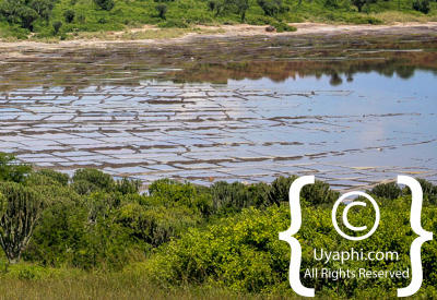 Queen Elizabeth National Park Photos