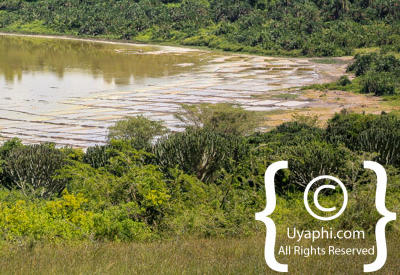 Queen Elizabeth National Park Photos