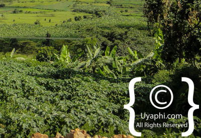 Uganda Scenery Photos