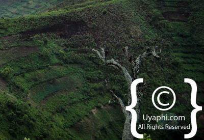 Uganda Scenery Photos