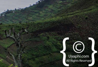 Uganda Scenery Photos