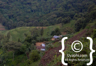 Uganda Scenery Photos