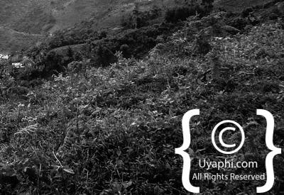 Uganda Scenery Photos