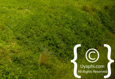 Images Of Scenery In Uganda