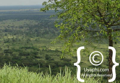 Images Of Scenery In Uganda