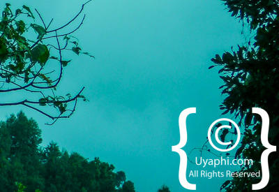 Uganda Scenery Photos