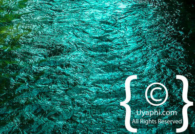 Uganda Scenery Photos