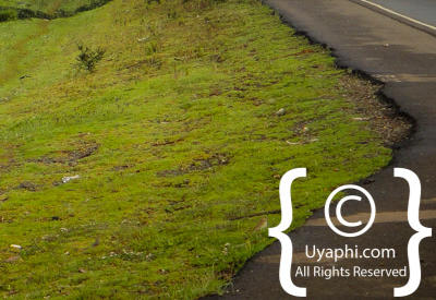 Uganda Scenery Photos