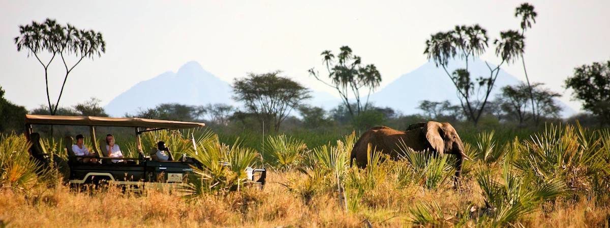 African Safari Planner