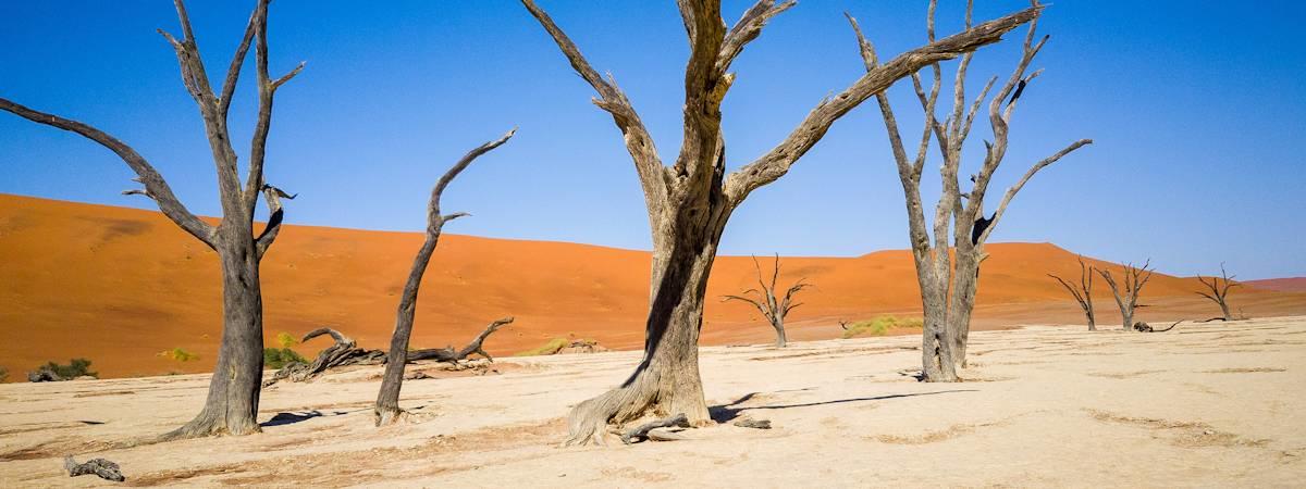Best Namibia Attractions