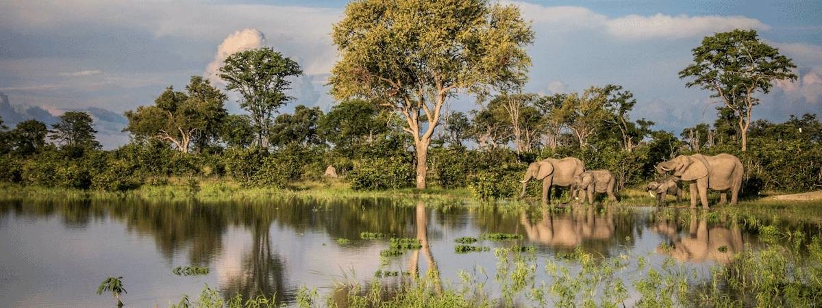 Botswana Budget Safaris