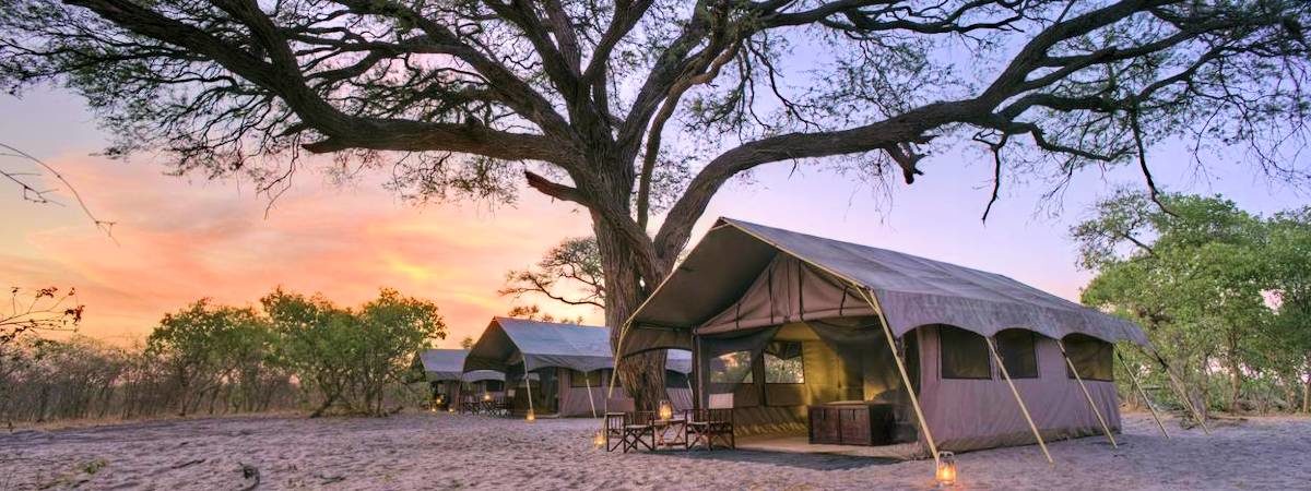 The Best Luxury Tented Safaris In Botswana