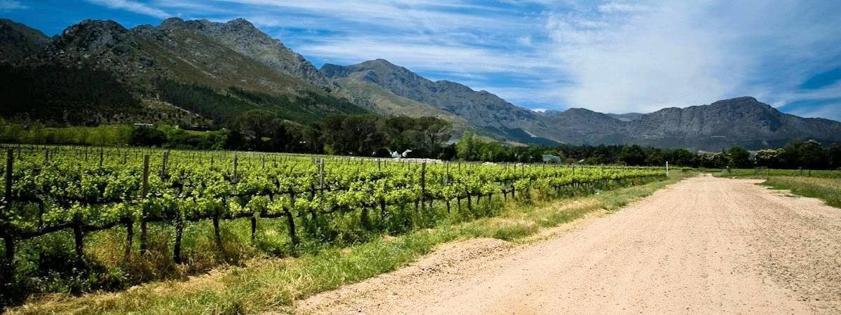 Cape Winelands Hotels