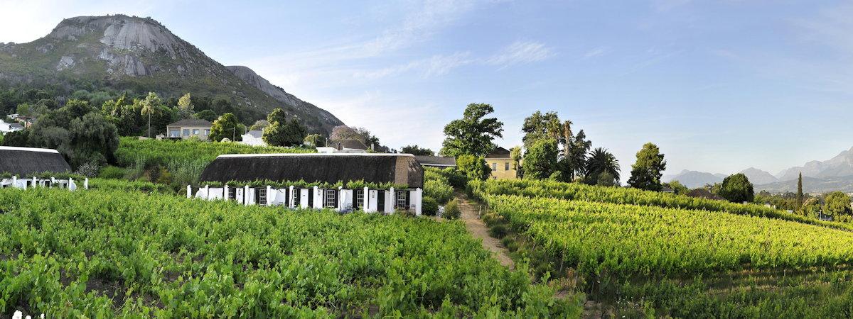 Western Cape Winelands Boutique Hotels