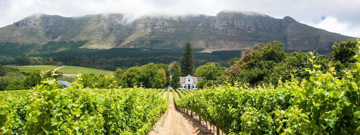 Constantia Hotels