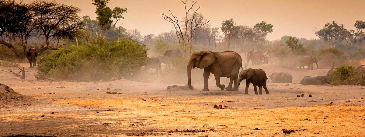 Safari Lodges in The Hwange