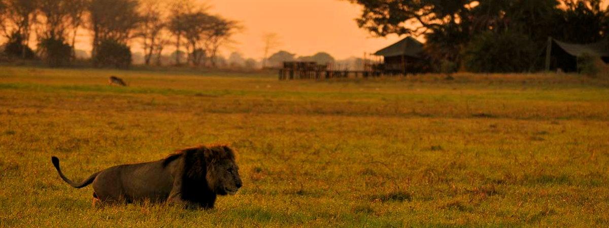 Kafue National Park safari lodges and tented camps