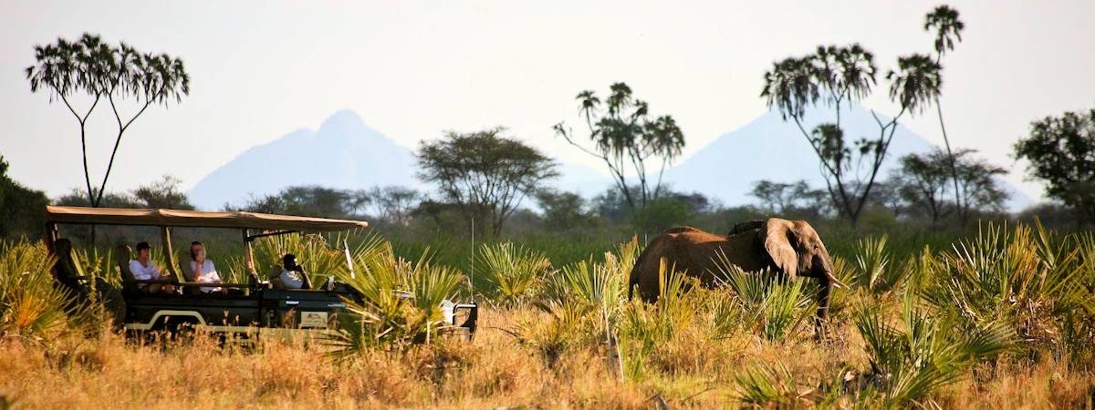 Kenya Travel Guide