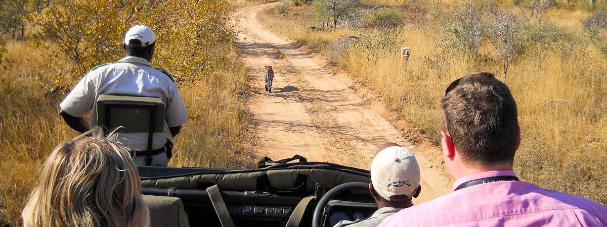 Kruger Budget Safaris