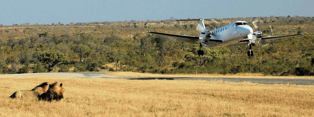 Kruger National Park Fly-In Safaris and Tours