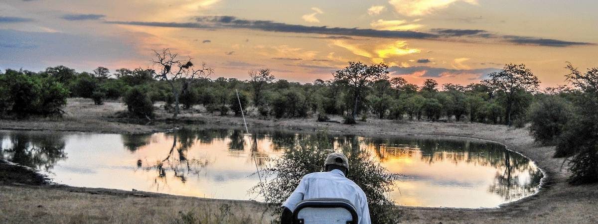 Kruger Self Drive Safaris