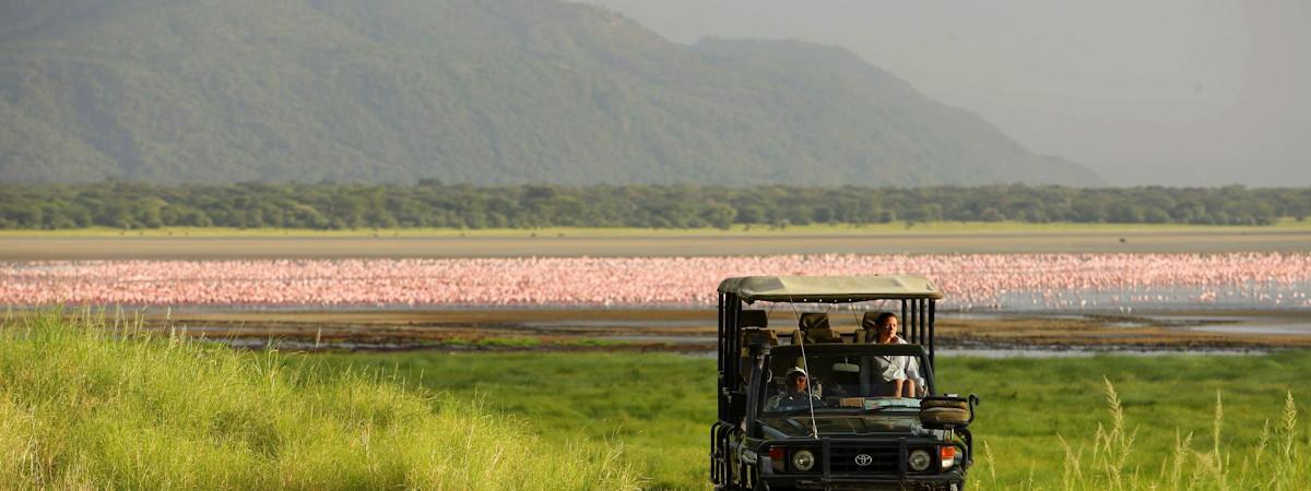 Lodges In The Lake Manyara National Park